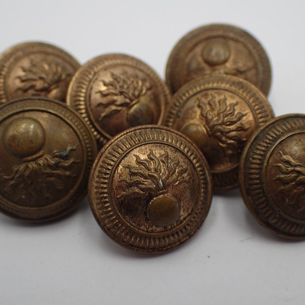 sept  boutons militaire d'infanterie