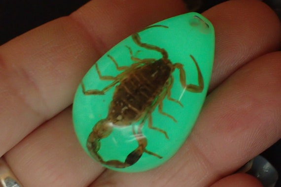 pendant, inclusion scorpion, phosphorescent