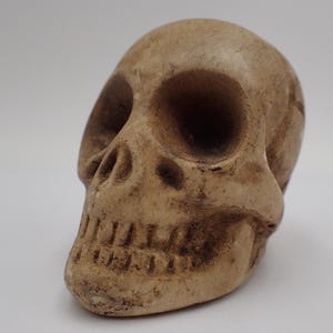 Vintage skull, Gothic plaster sculpture
