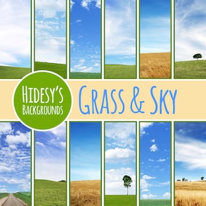 May include: A collection of 10 digital backgrounds featuring various shades of blue sky and green grass. The backgrounds are perfect for use in digital design projects, such as website design, social media graphics, and presentations.