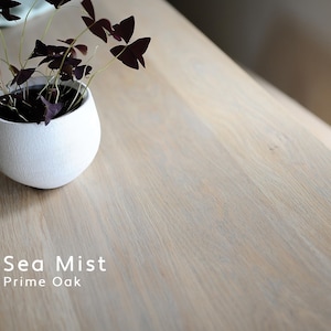 May include: A light-toned oak wood surface with a visible grain pattern, labeled Sea Mist Prime Oak. A small, round, white textured ceramic pot contains a plant with dark purple, triangular-shaped leaves and thin, light green stems.