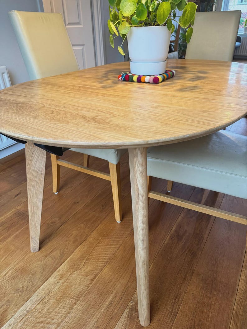 May include: An oval light oak dining table with four tapered legs, featuring a white ceramic plant pot containing a green Pilea plant, which sits on a colorful felt ball trivet made of small spheres in various bright colors.