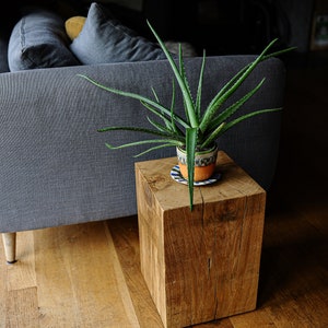 May include: A wooden end table with a natural wood finish and a rough-hewn texture. A potted aloe vera plant sits on top of the table.