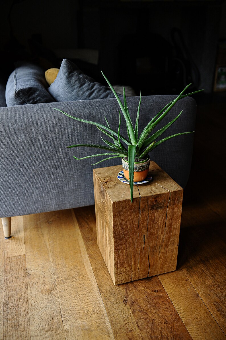 May include: A wooden end table with a natural wood finish and a rough-hewn texture. A potted aloe vera plant sits on top of the table.
