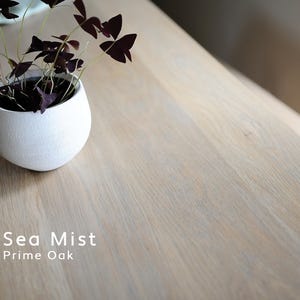 Puede incluir: Una maceta de cer&aacute;mica blanca de forma redondeada contiene una planta con hojas de color p&uacute;rpura oscuro. La maceta est&aacute; sobre una superficie de madera de color claro. El texto "Sea Mist" y "Prime Oak" se muestra en blanco.