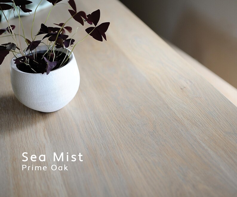 Puede incluir: Una maceta de cer&aacute;mica blanca de forma redondeada contiene una planta con hojas de color p&uacute;rpura oscuro. La maceta est&aacute; sobre una superficie de madera de color claro. El texto "Sea Mist" y "Prime Oak" se muestra en blanco.