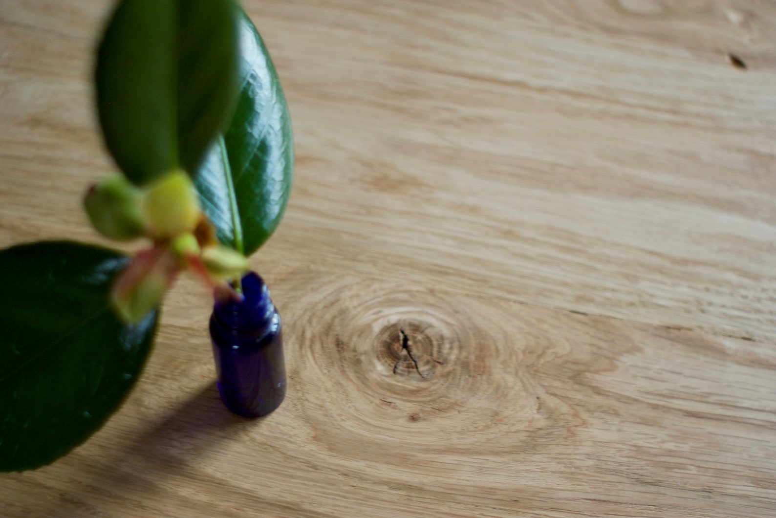 Curated Sustainable Coffee Table Legs Gallery View 46