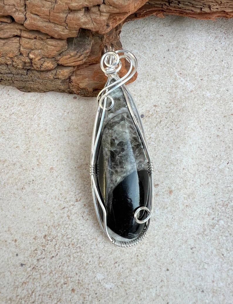 Orthoceras Fossil Wire Wrapped Pendant Sterling Silver, Orthoceras Necklace, Spiritual Growth, Assists Transition, Reiki Infused image 3