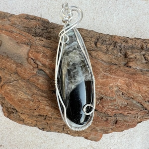 Orthoceras Fossil Wire Wrapped Pendant Sterling Silver, Orthoceras Necklace, Spiritual Growth, Assists Transition, Reiki Infused image 1