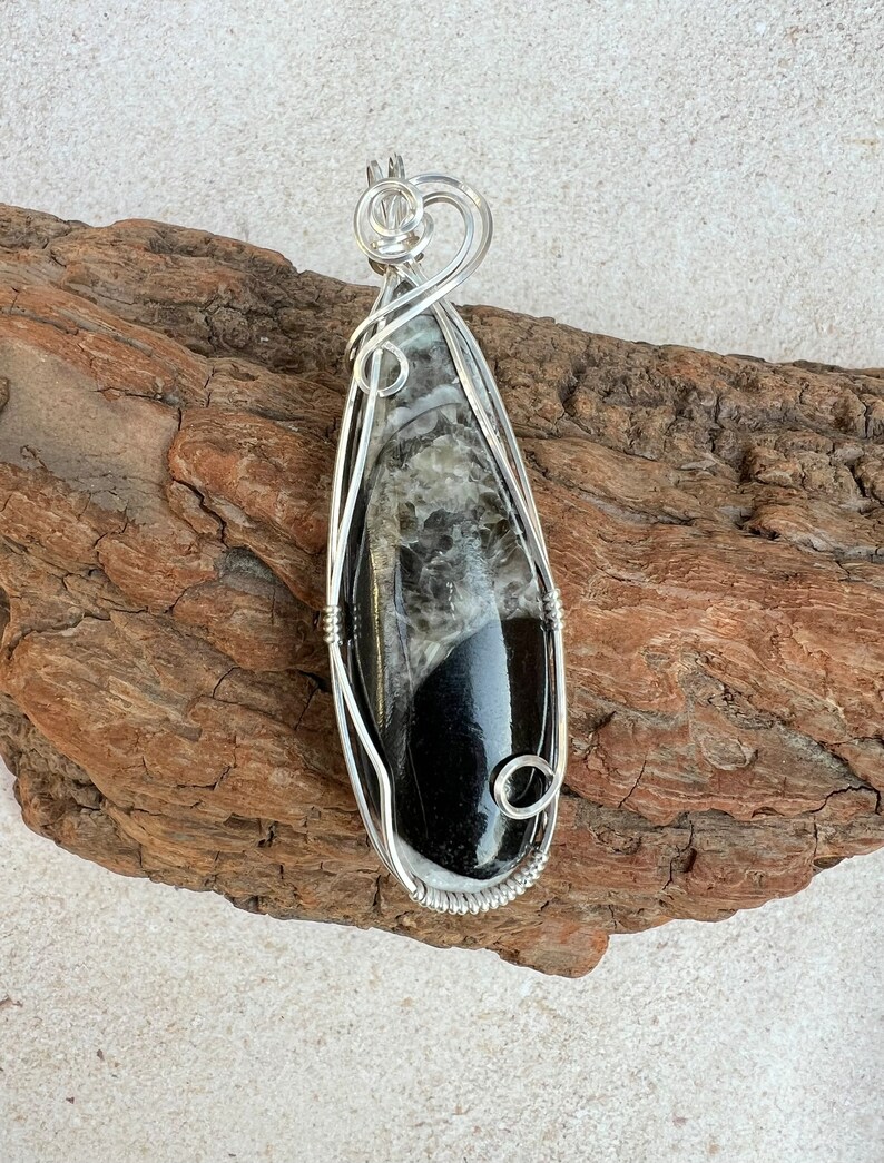 Orthoceras Fossil Wire Wrapped Pendant Sterling Silver, Orthoceras Necklace, Spiritual Growth, Assists Transition, Reiki Infused image 1
