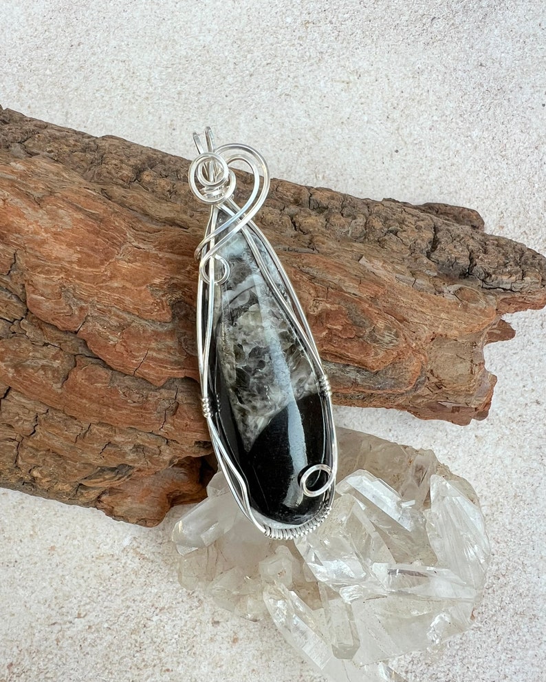 Orthoceras Fossil Wire Wrapped Pendant Sterling Silver, Orthoceras Necklace, Spiritual Growth, Assists Transition, Reiki Infused image 2