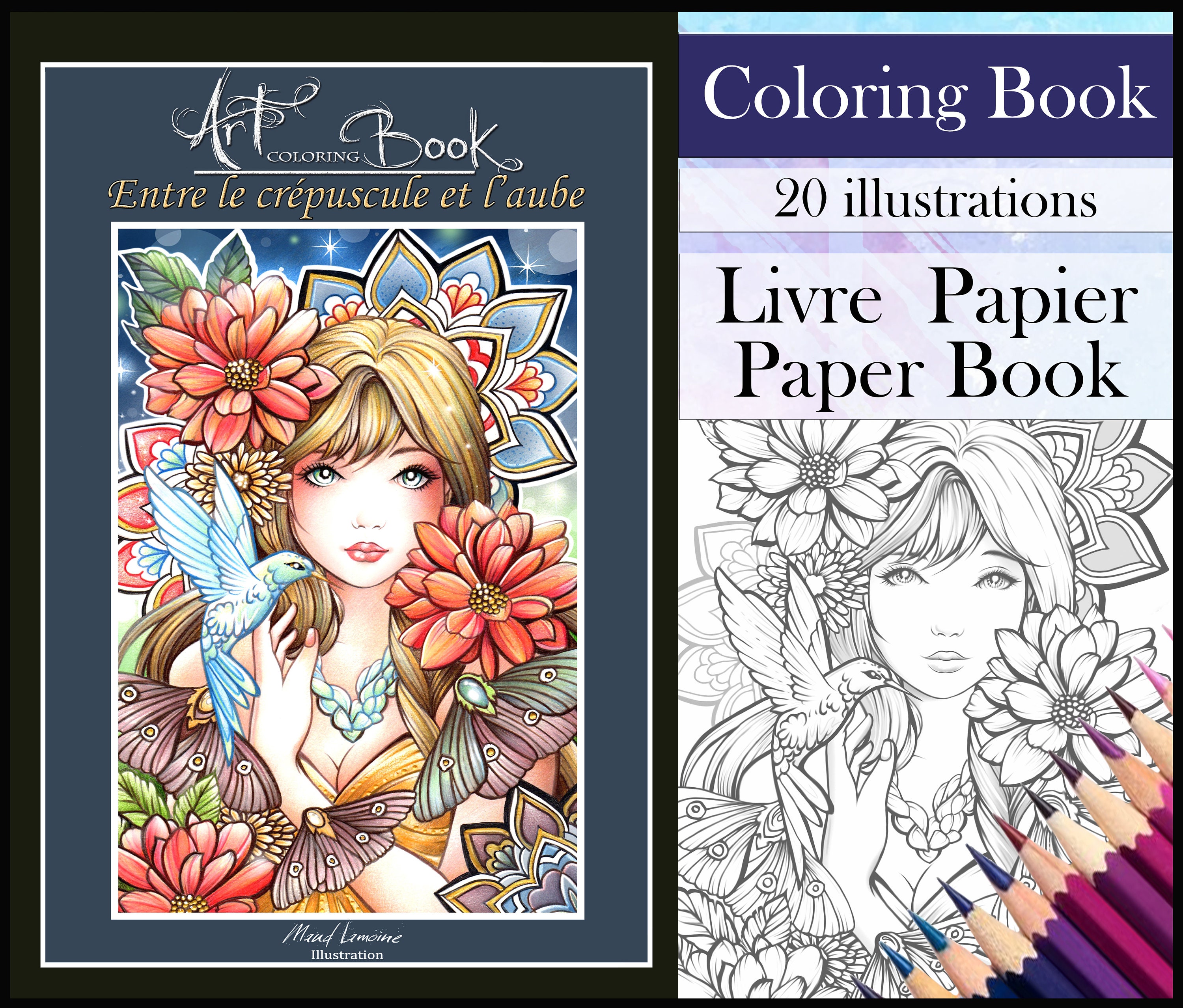 Coloriages mysteres: livre de coloriage adultes avec 20 dessins