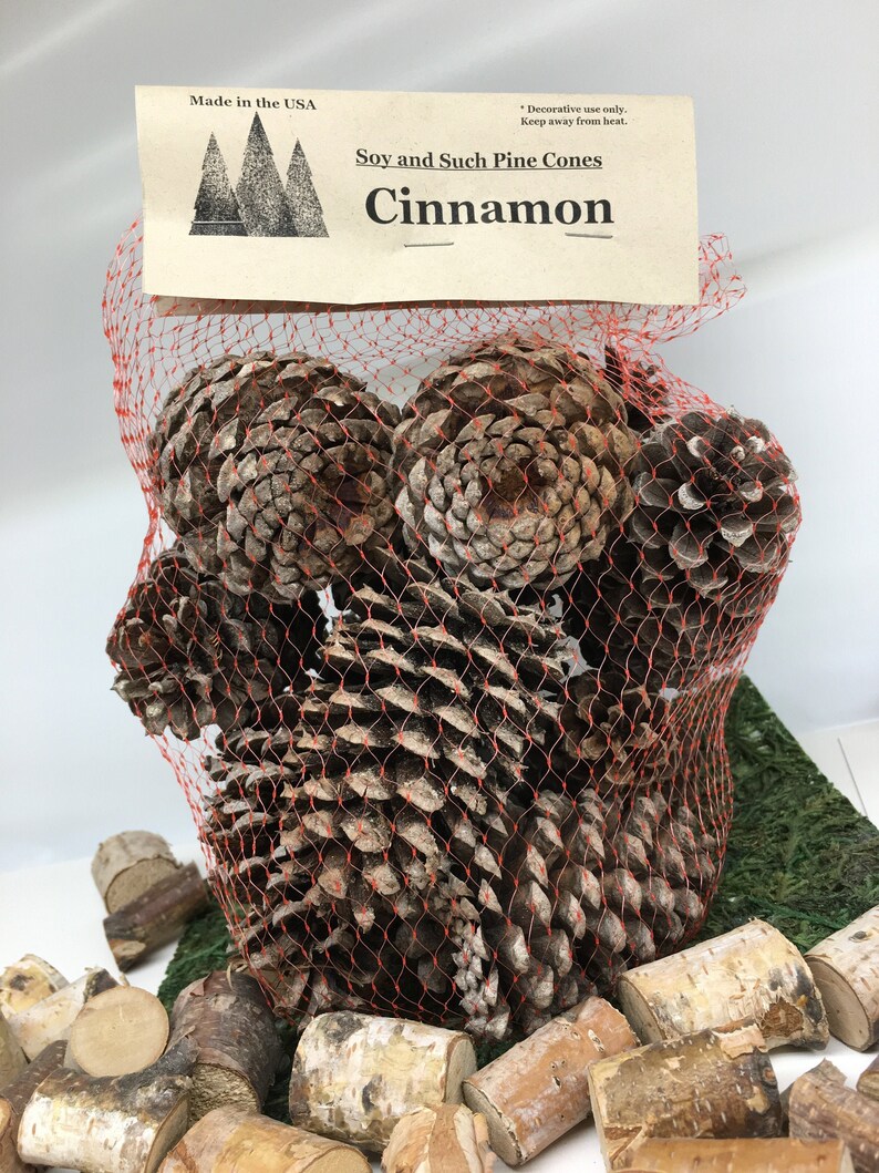 Decorative Pine Cones Balsam Cinnamon Scented Cones or Etsy