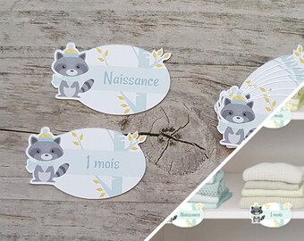 Bebe Raton Laveur Etsy