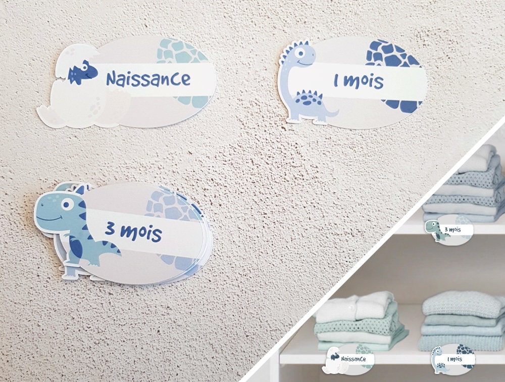 Étiquettes Thème Dinosaures à Fixer sur Planches d'étagère d'armoire de Bébé Pour Classer Par Type V