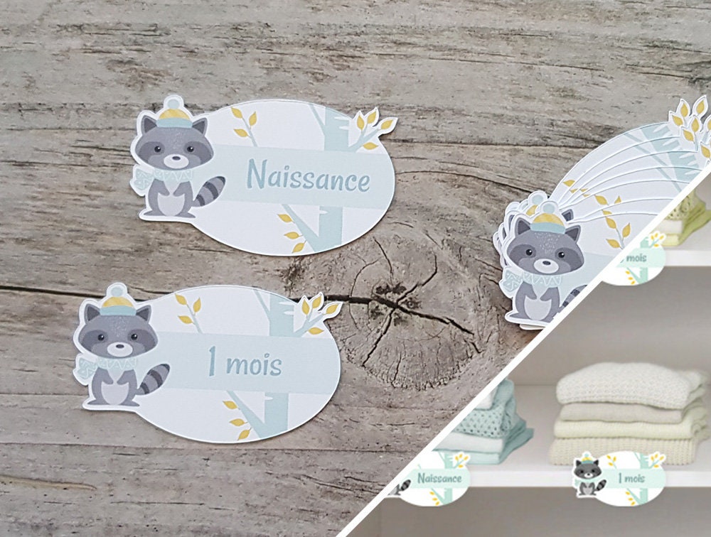 Étiquettes d'armoire Pour Ranger Les Vêtements Pliés de Bébé Par Âge - Thème Raton Laveur