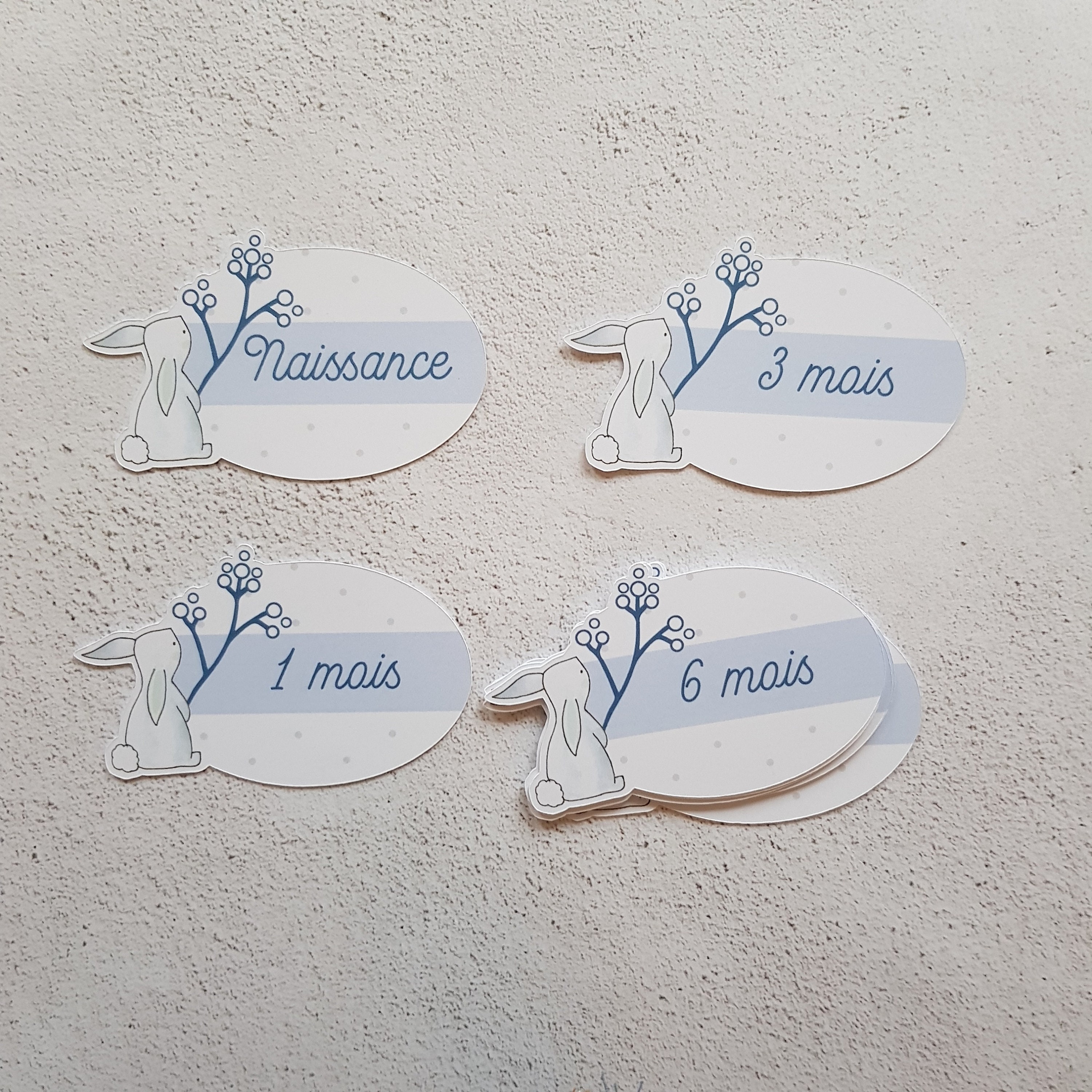 Étiquettes Pour Organiser et Ranger L'armoire de Bébé Par Taille Vêtements Pliés Collection Lapin Bl