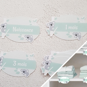 Lot d'étiquettes Koalas pour organisation d'armoire  de bébé par âges, rangement garde-robe de bébé, séparateurs d'âges