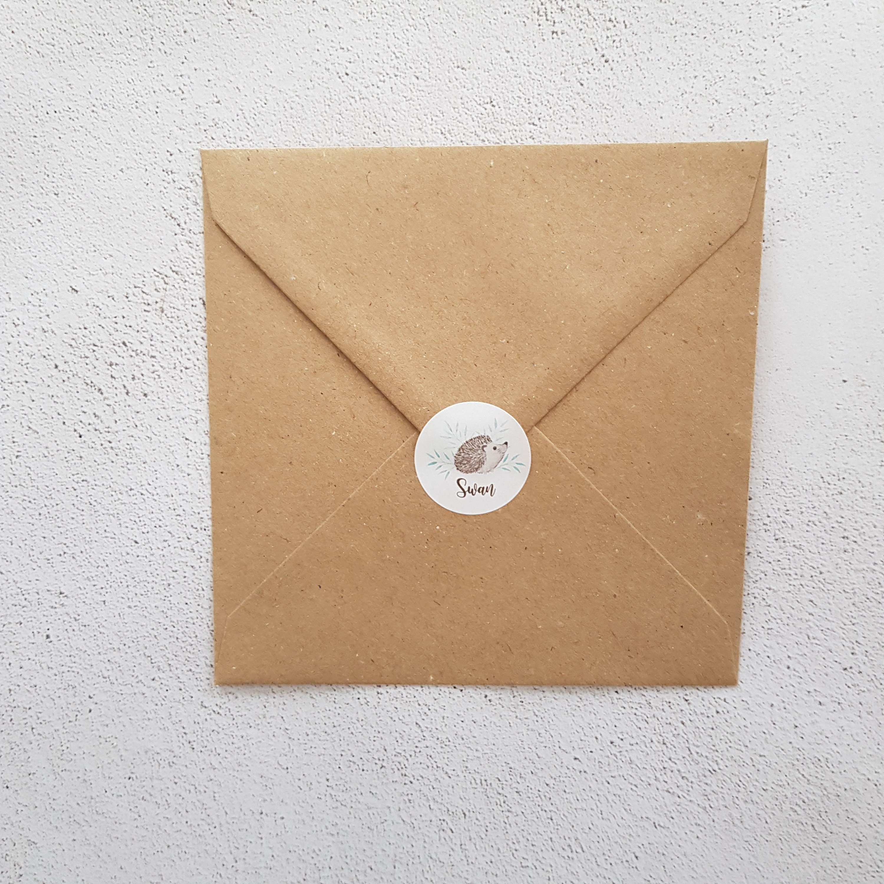 OWNPET 10 Pcs/lot Enveloppe Transparente Vintage Lettre Enveloppes  Enveloppe en Papier Translucide Vierge pour Invitation De Mariage