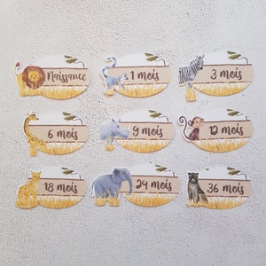 9 Savannah Animals Theme Cabinet Labels to Store Baby's Folded Clothes by Age