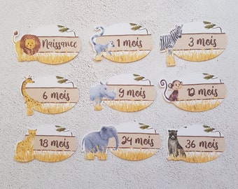 9 Étiquettes d'armoire thème animaux de la savane pour ranger les vêtements pliés de bébé par âge