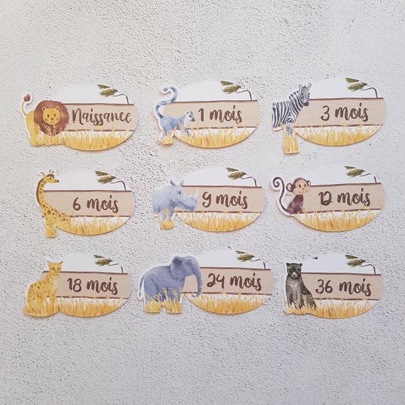 9 Etiquettes D Armoire Theme Animaux De La Savane Pour Etsy 9 Etiquettes D Armoire Theme Animaux De La Savane Pour Etsy