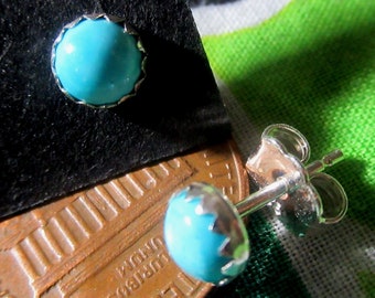 Sleeping Beauty Turquoise Stud