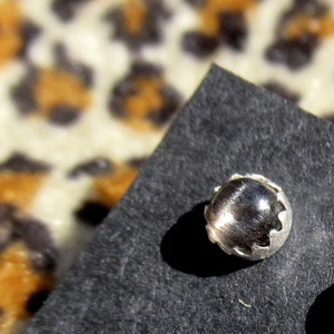 Black Moonstone Studs