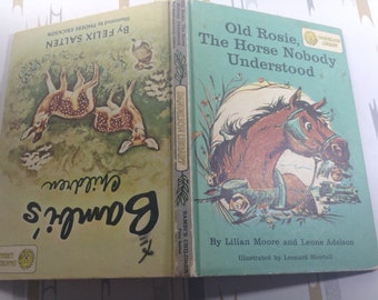 The disney bambi story