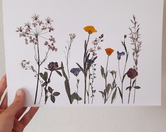 Botanical Print| Pressed Flower Art | Dried Flower Art |Wildflower Meadow