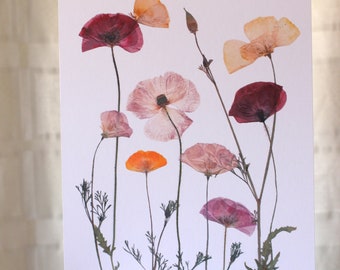 Botanical Print | Pressed Flower Art | Poppy Flower Meadow | Herbarium | Floral Wall Art | Dried Flower Art
