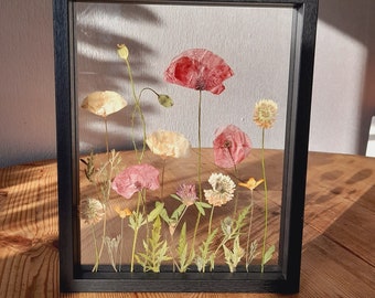 Pressed Flower Art | Framed Flowers | Poppy | Glass Frame | Floating Frame | Home Decor | Botanical Art Flower Meadow