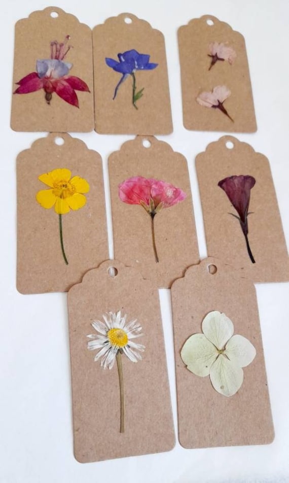 Tag: dried flower crafts