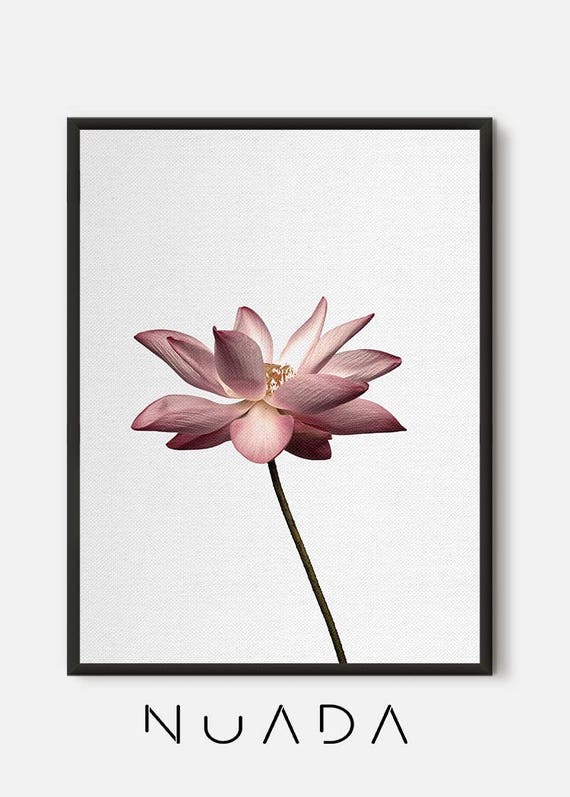 Kwiat Lotosu Lotus Print Joga Wall Art Joga Flower Do Etsy