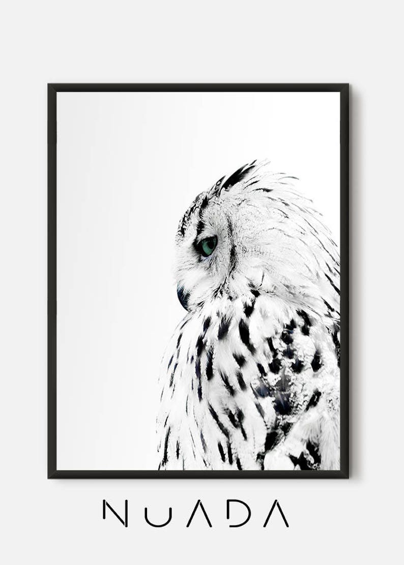 Owl Print Black and white Photo Owl modern poster Animal Etsy