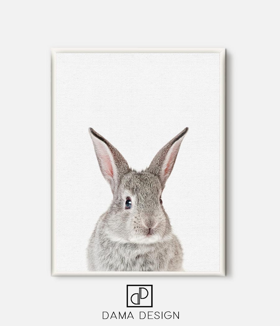 Bunny Print, Rabbit Poster, Nursery Art, Baby Room Animal Printable ...