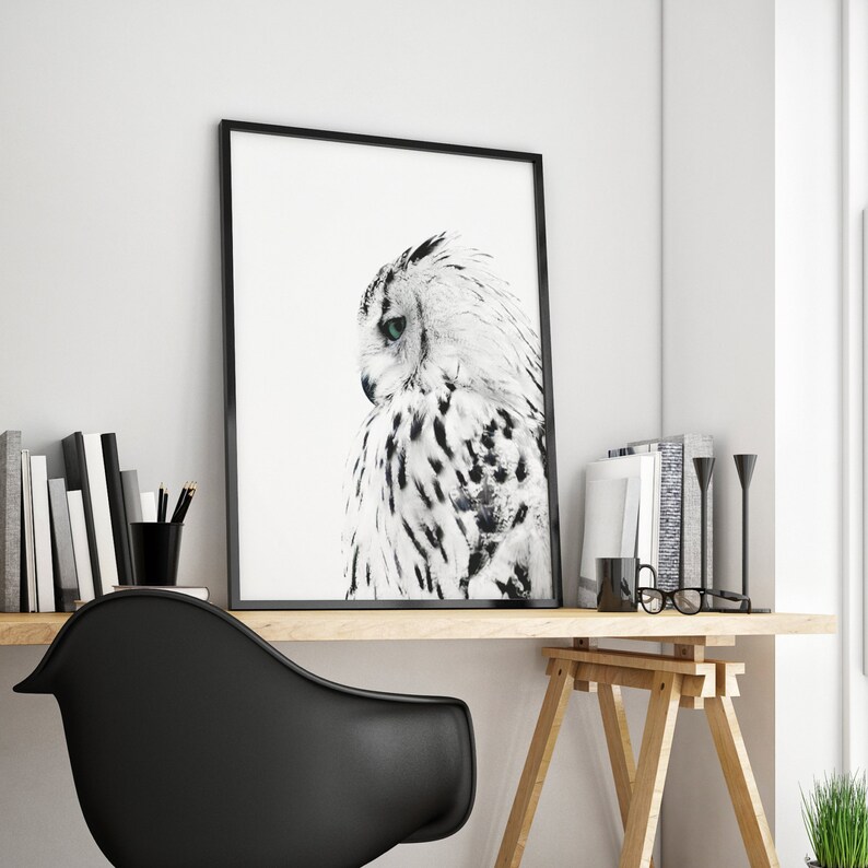 Owl Print Black and white Photo Owl modern poster Animal Etsy