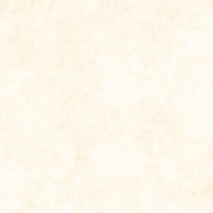 May include: A textured, off-white background with a subtle, mottled appearance. The surface has a soft, diffused quality, suggesting a vintage or aged aesthetic. The color is a warm, creamy tone, suitable for various design applications.