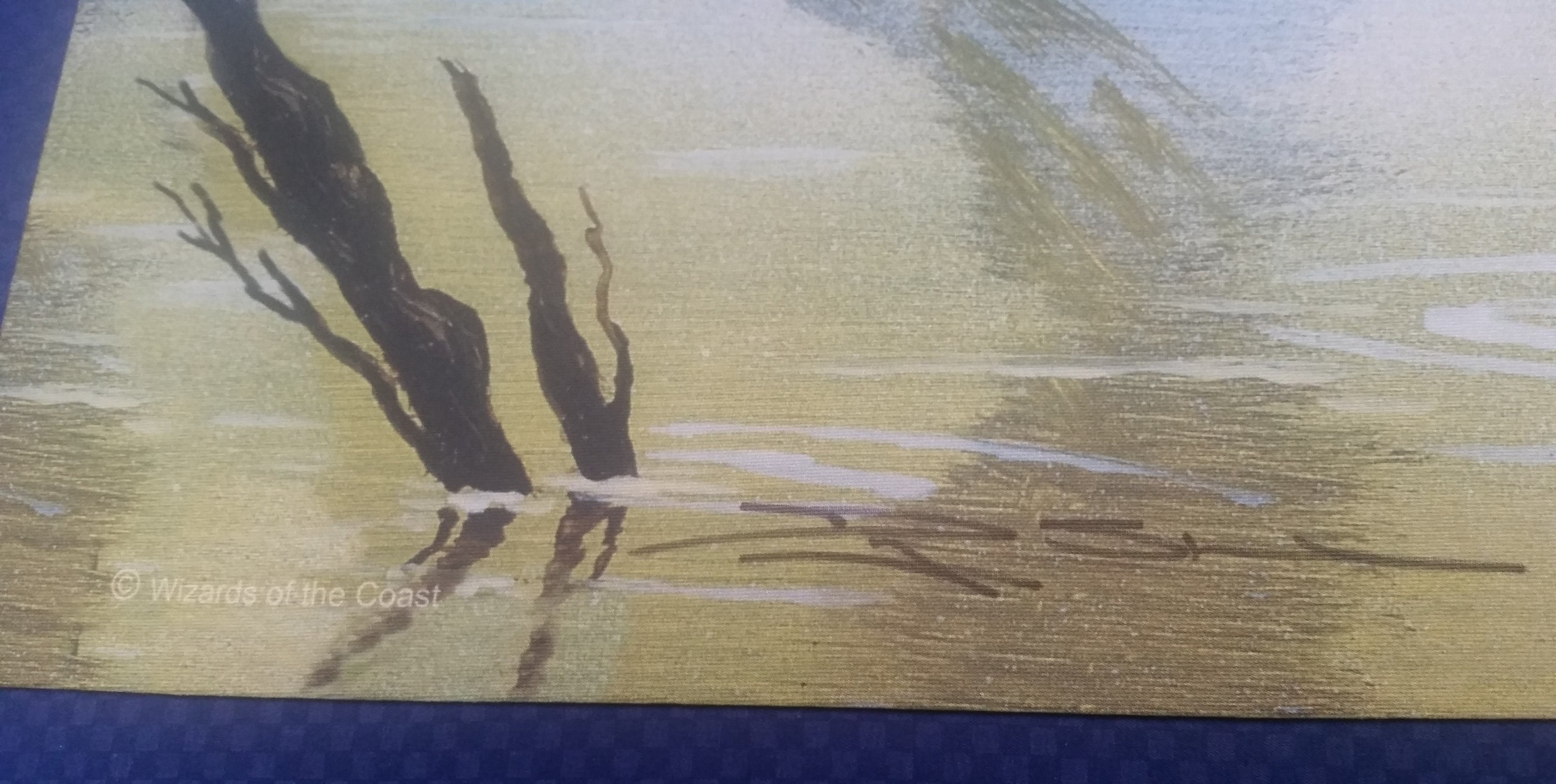 thumbnail image 2 of Force Of Nature MTG Playmat – Signed By Douglas Shuler – Official Wizards Of The Coast 2 of 4
