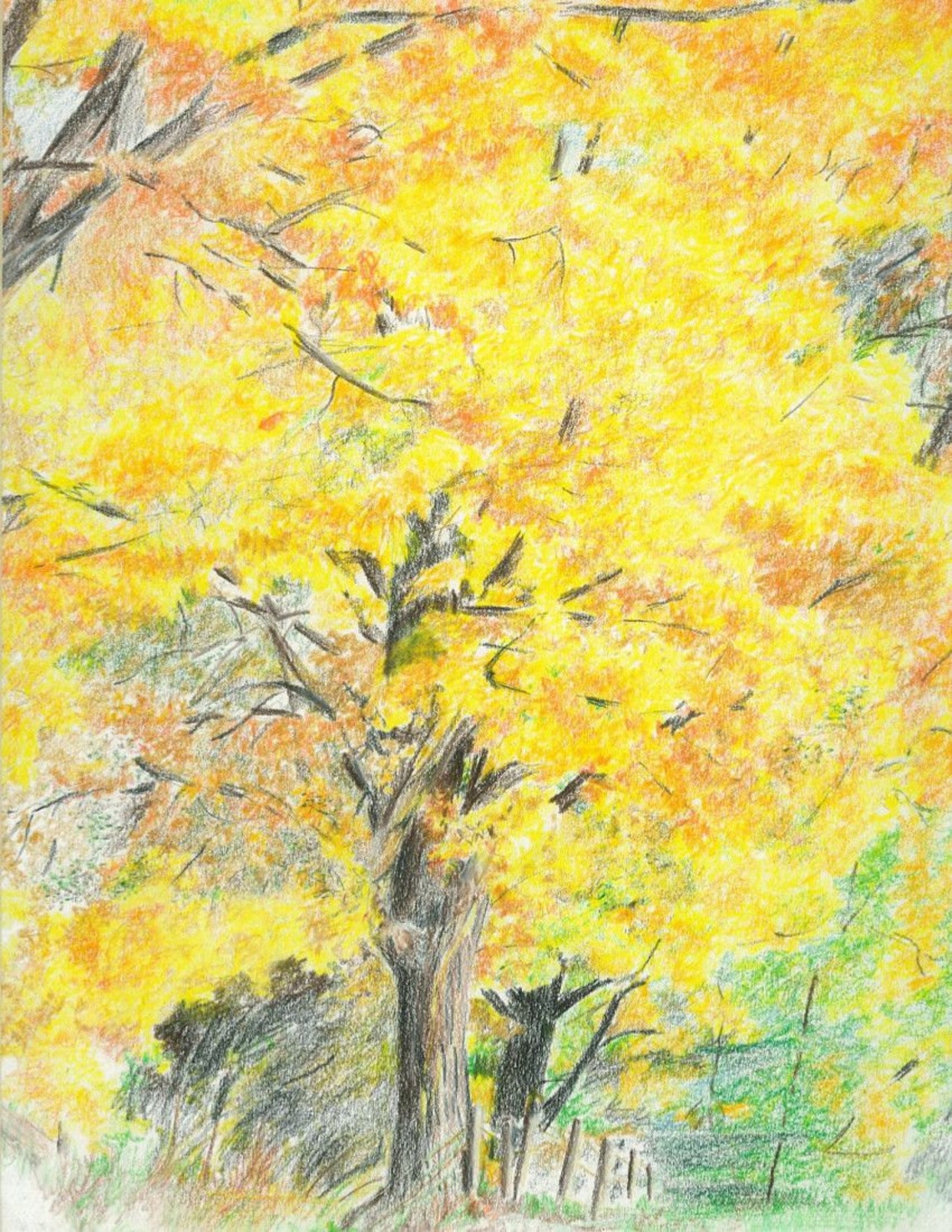 Yellow Trees Landscape Print/Prints/Nature Wall Art/Trees Etsy