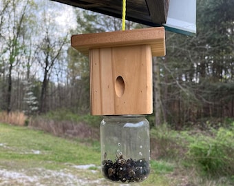 Modern Flat-Roof Carpenter Bee Traps