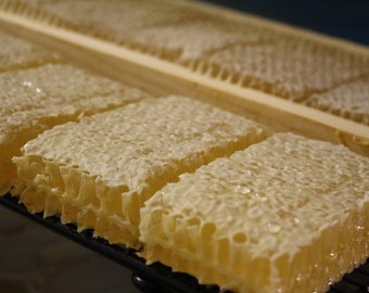 Comb Honey 2"x4" Chunk