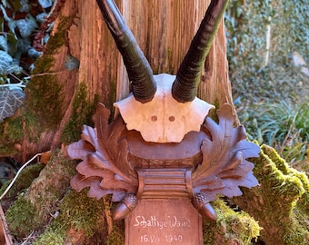 Germany Chamois trophy mount hand carved  1940