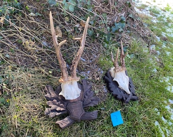 Antique roedeer antlers wood carved mounts blackforest victorian austria germany czechia wall decor