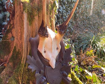 Fallow deer trophy mount hand carved 17. 11. 1930