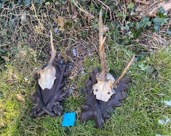 Antique roedeer antlers wood carved mounts blackforest victorian austria germany czechia wall decor