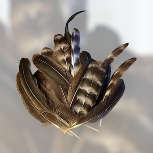 25 Hand Collected Cruelty-free Chicken Feathers - Medium sized