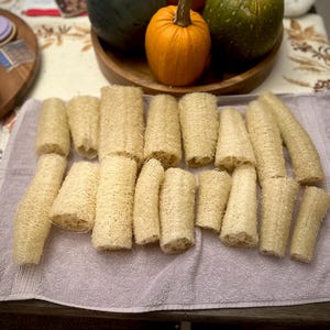 Natural Homestead Grown Luffa Sponge-Unbleached. Qty. (2)
