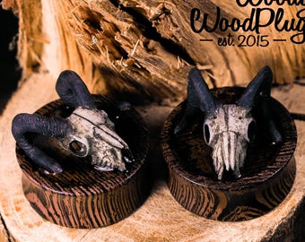 Wenge wood ear plugs with skull -wooden ear gauges - plugs wood - 3D organic plugs 18mm / 20 mm / 25 mm / 30 mm / 35 mm/ 40 mm 11/16'' 3/4''
