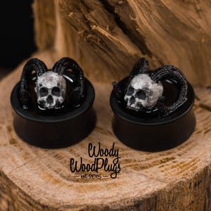 3D Black plugs with demon skulls, Halloween ear plug gauges 20 mm 21mm 22mm 23mm 24mm 25mm 26mm 27mm 28mm 29mm 30mm  35mm 40mm